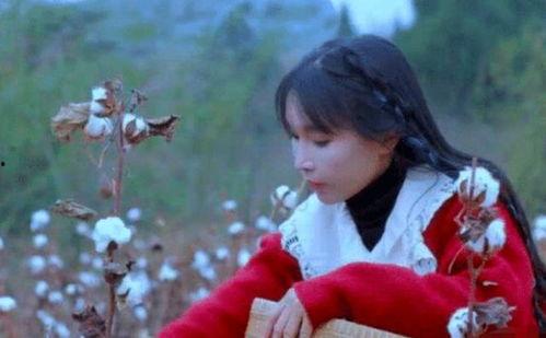 李子柒被爆料假吃视频 第1张 李子柒被爆料假吃视频 第1张